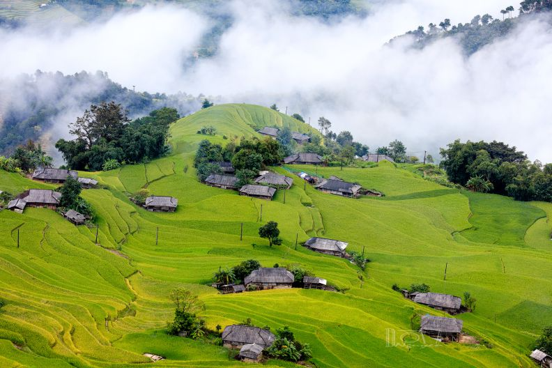 riziere ha giang 2