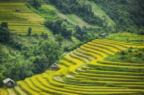 hoang su phi ha giang_1000