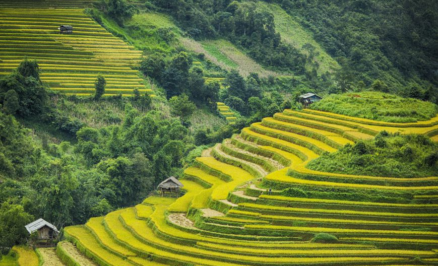 hoang su phi ha giang_1000